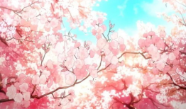 日本樱花动漫,绽放的青春记忆与梦幻世界